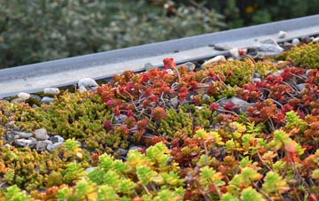the cost of Low Leighton green roof installation