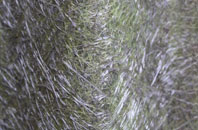 Low Leighton fibreglass roof work